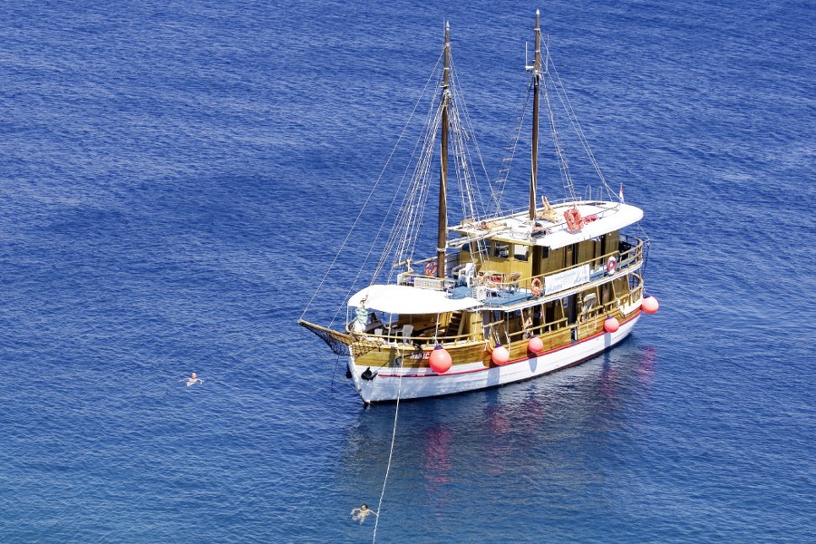 MS Ribič