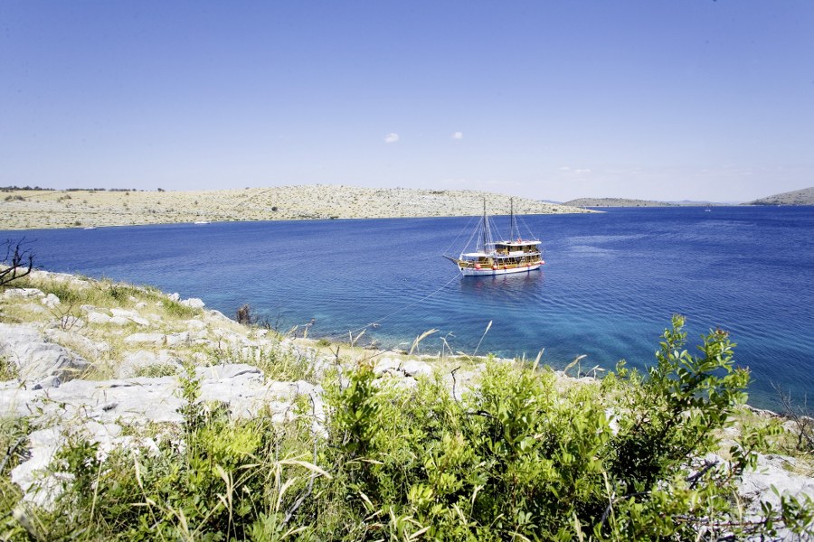 MS Ribič