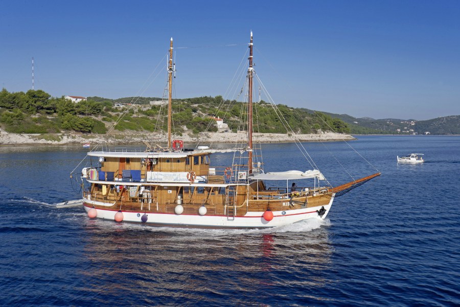 MS Ribič